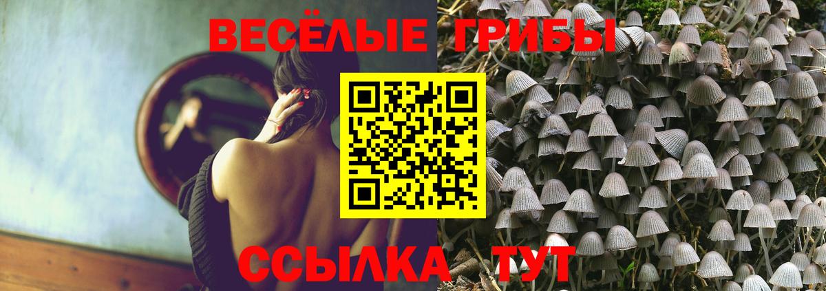 Псилоцибиновые грибы Psilocybe  Вход с VPN  Сегежа 